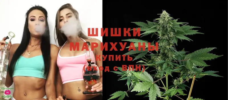 хочу наркоту  Струнино  Марихуана SATIVA & INDICA 